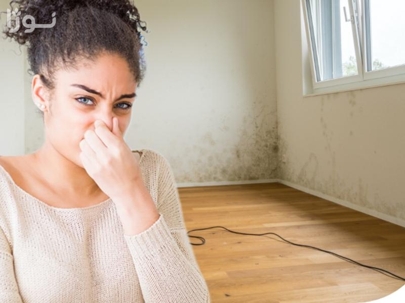 برای بوی نم خانه چه کنیم؟