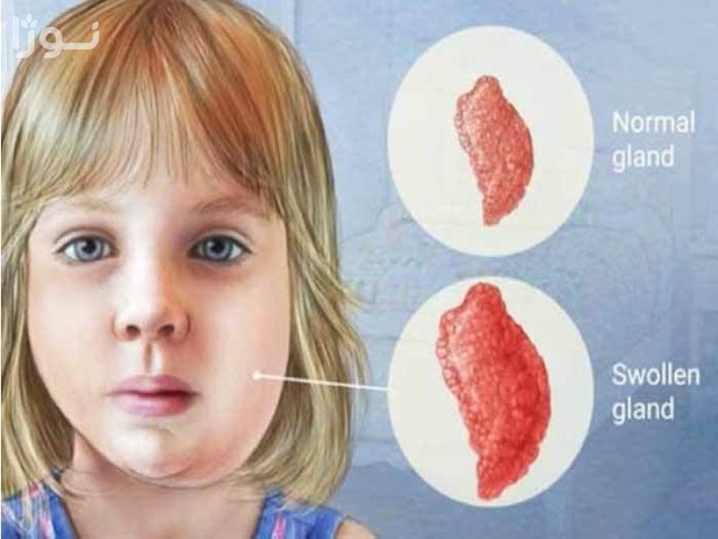 تصاویر وبلاگ خدمات جورسرویس