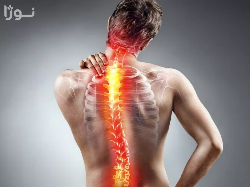 تصاویر وبلاگ خدمات جورسرویس
