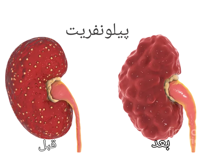 تصاویر وبلاگ خدمات جورسرویس