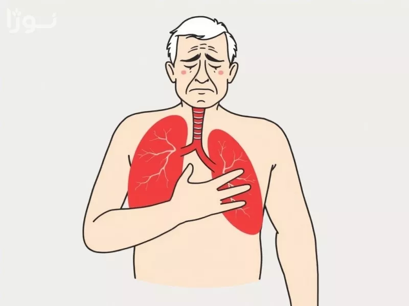 تصاویر وبلاگ خدمات جورسرویس