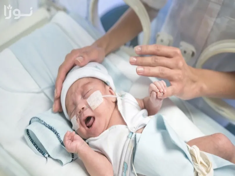 تصاویر وبلاگ خدمات جورسرویس