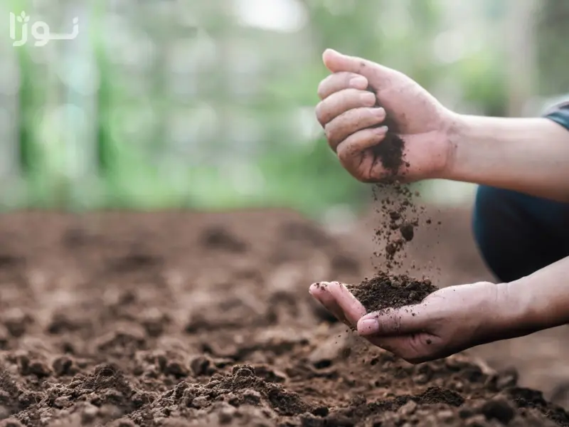 ساختار و ویژگی&zwnj;های خاک ماسه&zwnj;ای در کشاورزی - راهنمای اصلاح خاک شنی