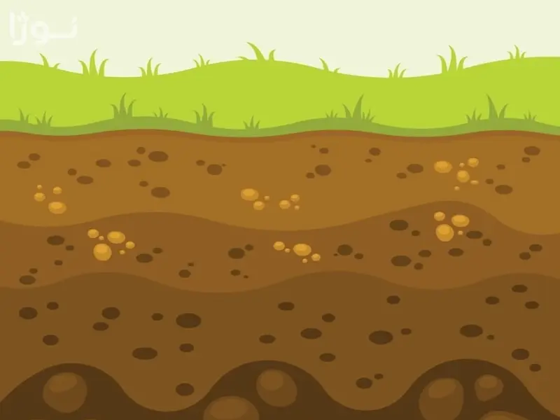 آیا ماسه برای کشاورزی مناسب است؟ راهنمای جامع استفاده از ماسه در خاک