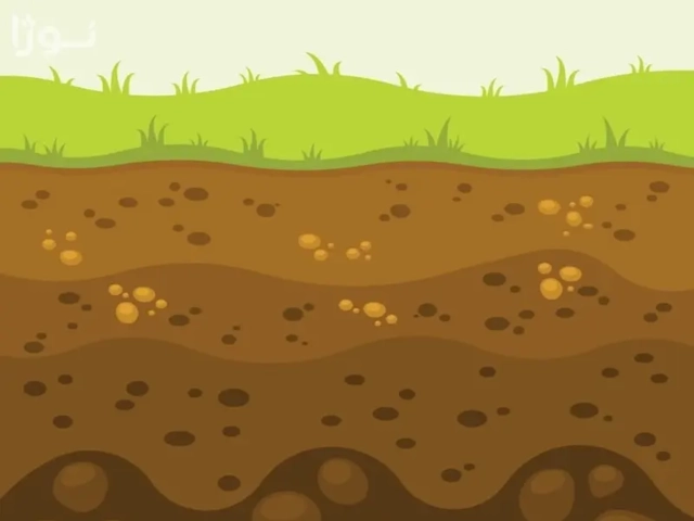 آیا ماسه برای کشاورزی مناسب است؟ راهنمای جامع استفاده از ماسه در خاک